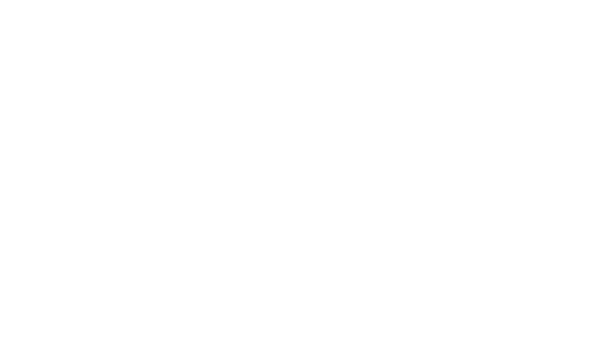 The Burlington Academy