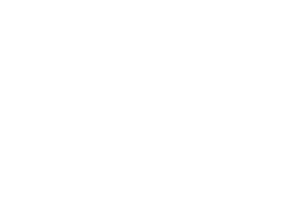 The Burlington Academy